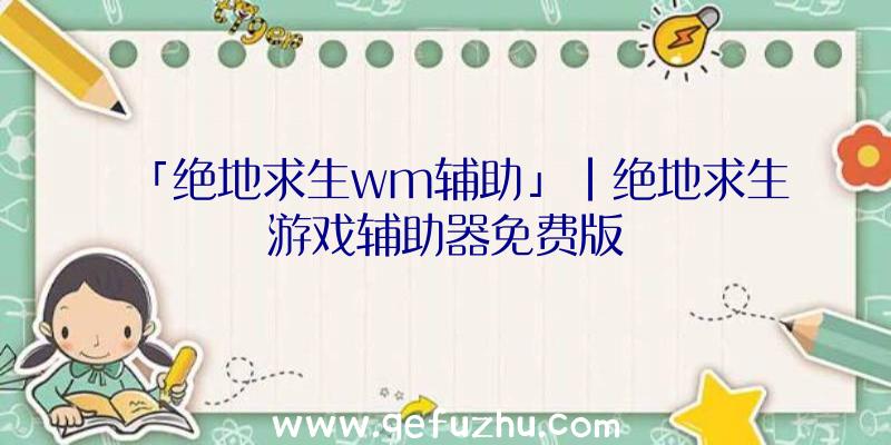 「绝地求生wm辅助」|绝地求生游戏辅助器免费版